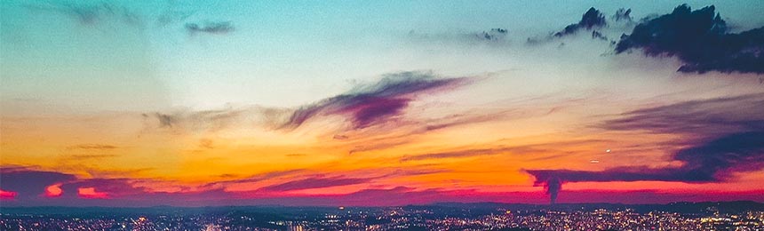 黔西茶虫网_黔西品茶